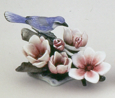 Scrub Jay with Magnolias by Olszewski
